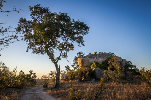 Greater Kruger Landscape